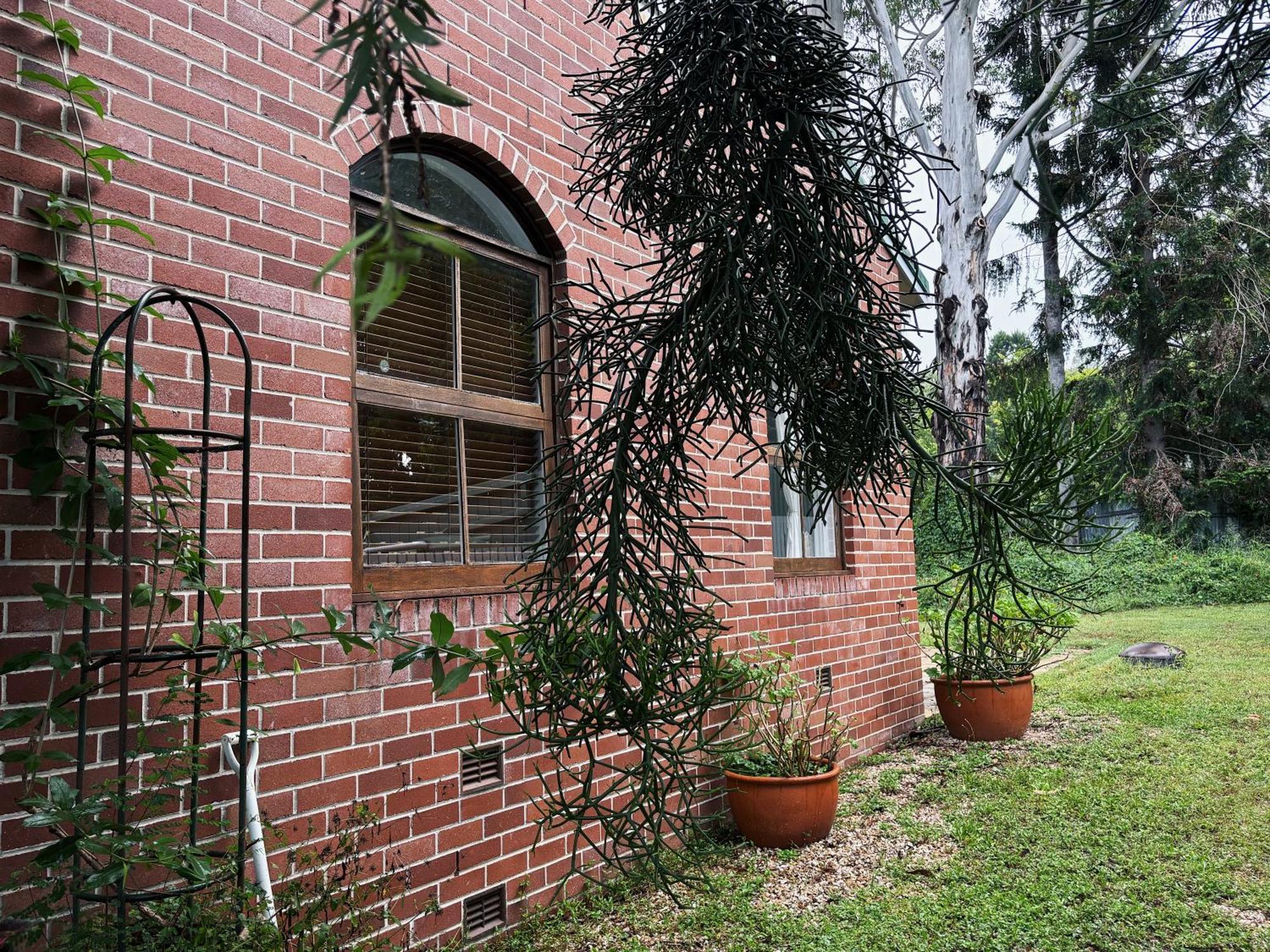 Celestial Dew Guesthouse In Tyalgum Exterior foto